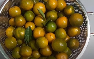 Ba mẹ biết gì về quả tắc?