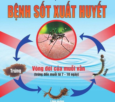 sot xuat huyet o tre em   cha me dung tho o voi bat ky trieu chung nao 5 1536545679 687 width640height567