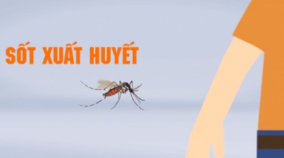 Bài tuyên truyền phòng chống bệnh sốt xuất huyết