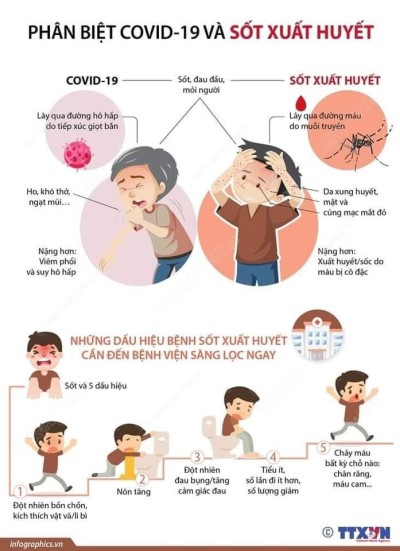 Phân biệt covid -19 và sốt xuất huyết