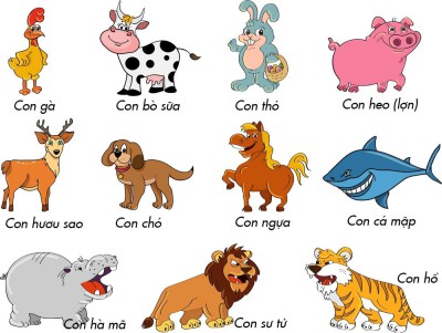 Chủ đề: Thế giới động vật. Khối Lá. (Năm học: 2022 - 2023)