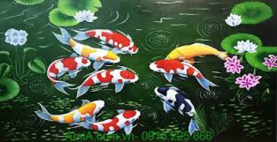 images (9)