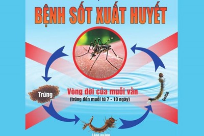Bệnh sốt xuất huyết