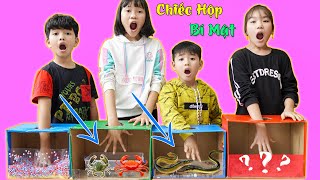 hình chiếc hộp bí mật