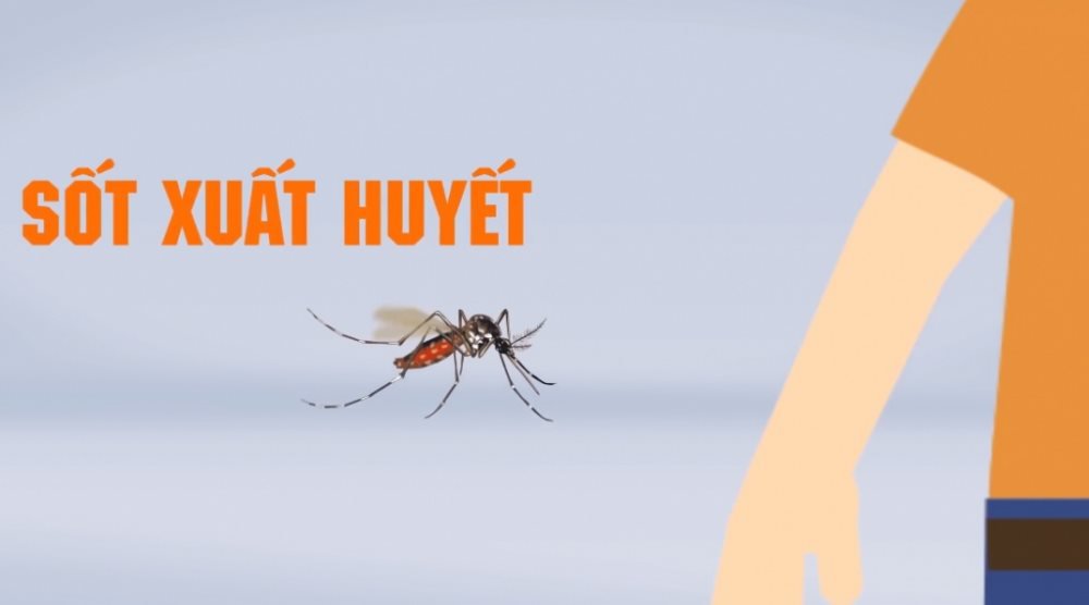 Bài tuyên truyền phòng chống bệnh sốt xuất huyết