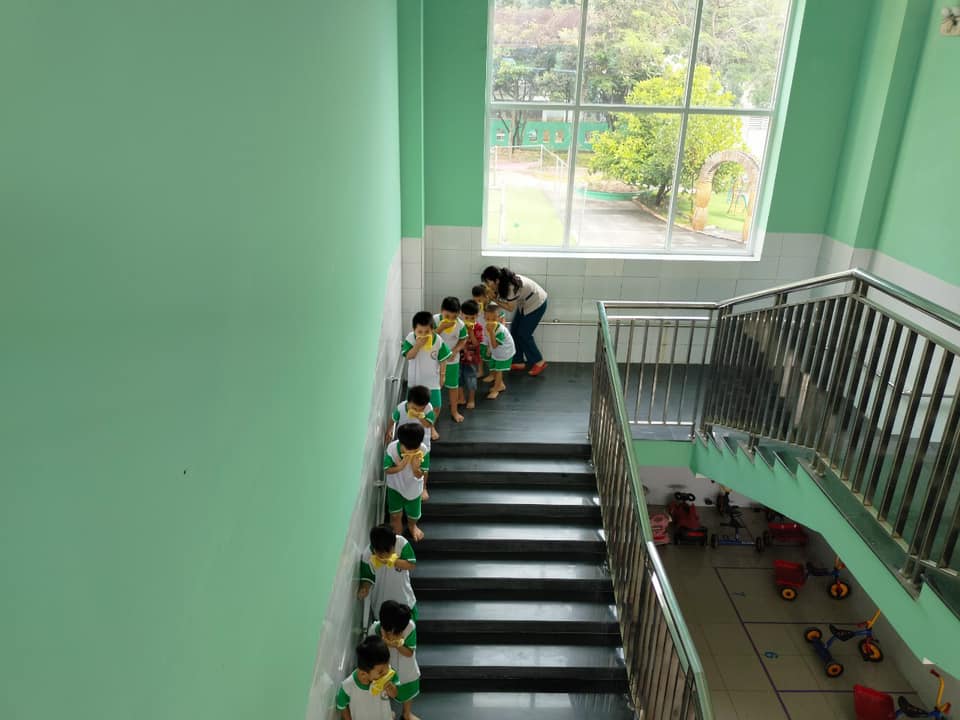 hình 5