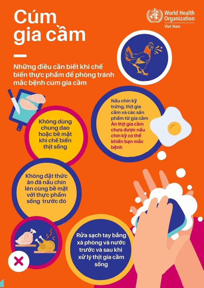 VIỆT NAM GHI NHẬN CA TỬ VONG DO CÚM GIA CẦM – NGÀNH Y TẾ KHUYẾN CÁO NGƯỜI DÂN CHỦ ĐỘNG THỰC HIỆN CÁC BIỆN PHÁP PHÒNG CHỐNG