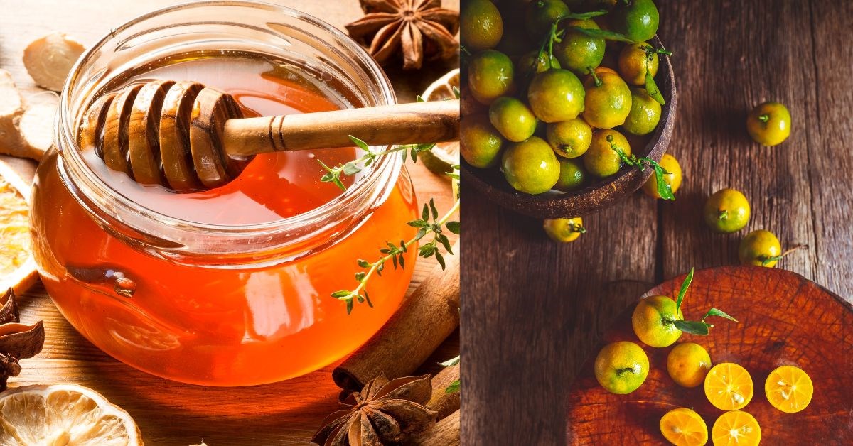 Cách làm quất (tắc) ngâm mật ong trị ho giao, giảm đau họng hiệu quả